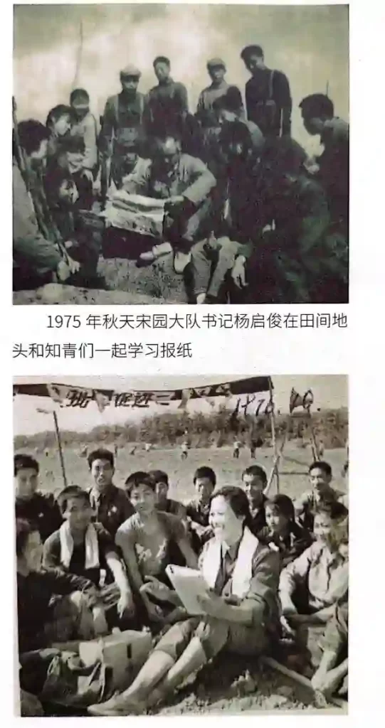 《重坊知青岁月》-墟里云乡-光辉视界|村镇历史|姓氏宗族|地名由来 《重坊知青岁月》-墟里云乡-光辉视界|村镇历史|姓氏宗族|地名由来